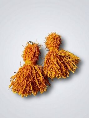 Vibrant Orange Tassel Statement Earrings